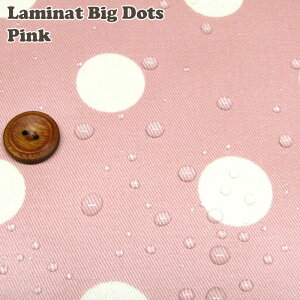 ~l[g傫ȃhbgsNiP10cmj/H/rj[R[eBO/n