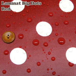 ~l[g傫ȃhbgbhiP10cmj/H/rj[R[eBO/n