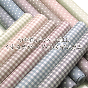 ~l[gH@݃J[ hbgMKiP10cmjRbg//n/z/IbNX/`FbN///eJ[/~L[J[/H/rj[R[eBO