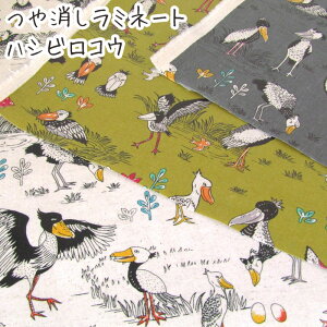 ~l[g nVrREiP10cmjvg/H/rj[R[eBO/n/͂т낱/shoebill//Ƃ/