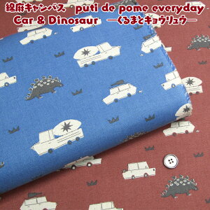 ȖLoX puti de pome everyday Car & Dinosaur@?܂ƃLEE?iP50cmj//_Ci\[/w/ʉʊw/XN[ObY/n/Rbgl
