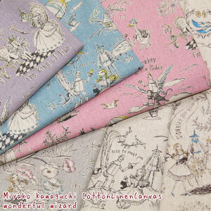 Miyako Kawaguchi ȖLoX Wonderful wizardiP50cmj~RJO`/IY̖@g/n/Ȗ/l