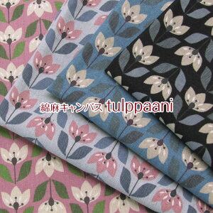 ȖLoX tulppaani gDp[jiP50cmjԕ/t[/͂/`[bv/g/k/z/n/Rbgl/vg