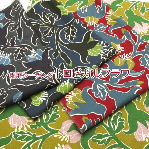 ȖV[`O gsJt[iP50cmjԕ/t[/͂/ni/flower/IG^/傫ȉ/z/n/Rbgl/vg