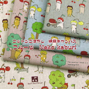 Rbg΂₵ ȖLoXt[c@Neko kaburiiP50cmj˂/lR/L/ɂ/jR/CAT/Lbg//Aj}//`F[/TN{/LԂ/Ԃ/n/R