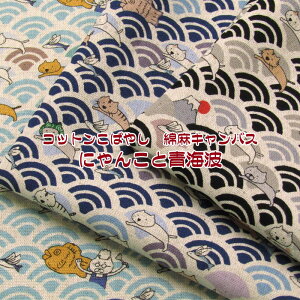 Rbg΂₵ ȖLoX ɂ񂱂ƐCgiP50cmjlR/˂/L/ɂ/jR/CAT//Aj}/a/a/Ƃт/Ă/₫/n/z/Rbgl/vg