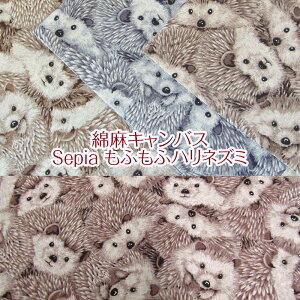 ȖLoX Sepia ӂӃnlY~iP50cmj͂˂/Aj}//wbWzbO/hedgehog/ZsAJ[/n/Rbgl/vg