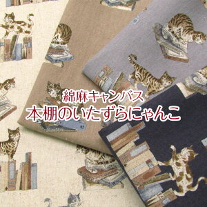 ȖLoX{Îɂ񂱁iP50cmj˂/lR/L/jR/CAT/Lbg//Aj}/n/z/Rbgl/vg