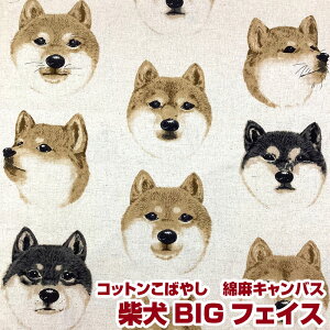 Rbg΂₵ ȖLoX ČBIGtFCXiP50cmjVoCk///DOG/hbO//Aj}/n/Rbg/l/vg