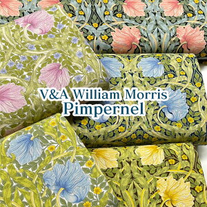 V&A William Morris@Pimpernel@ȖLoXiP50cmjȖ/Rbgl//n/vg/ECAX/William Morris/X/sp[l//t[/ԕ/A