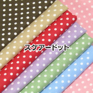 XPA[hbg@ԐʕiP50cmjn//3~hbg/hbg/n