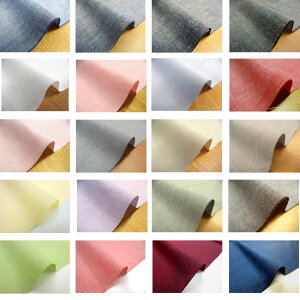 ��100���E�J���[�_���K���[ �S20�F�i�P��50cm�j �R�b�g��/���n/���n/�d�B�D/���{��