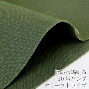 yhȔz10nv I[uhu(P50cm)nv//n/Ɍ/n/n/ptBh/͂^LNXC/AEghA/݌Ɍ