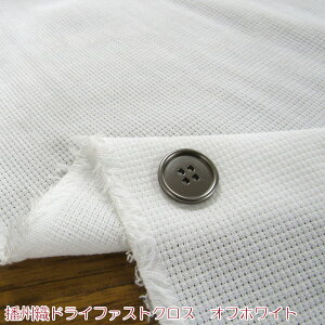 �d�B�D�h���C�t�@�X�g�N���X�@�I�t�z���C�g�i�P��50cm�j����/�J���[/�R�b�g��/��/���n