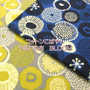 Rbg΂₵@Rbgl ̕z@BLOOM (P50cm)/t[/NbJ/H~/N/tl/vg//Rbg/n