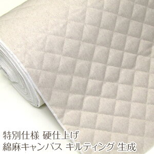 ʎdlEddグ ȖLoXELeBO  (P50cm)Rbgl/n/n/Lg