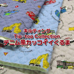 LeBO Tip-top Collection fjJbRCC(P50cm)͂炭/N}//pgJ[/h/~}/oX/gbN//w/ʉʊw/j̎q/BOY/LbY/XN[