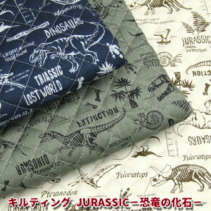 LeBO JURASSIC|̉΁|(P50cm)n//Rbg/Lg/_Ci\[//w/ʉʊw/j̎q/XN[ObY