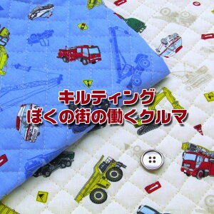 LeBO ڂ̊X̓N}(P50cm)/N}//CAR//w/ʉʊw/j̎q/BOY/LbY/Lg/n//Rbg/vg/XN[ObY