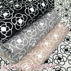 LeBO JAiP50cmj /t[//coL/mg[/̎q/l/vg/n//Rbg/w/Lg