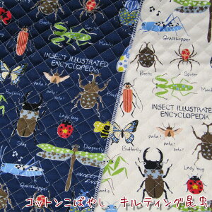 LeBO Rbg΂₵ (P50cm)Lg/n/w/j̎q