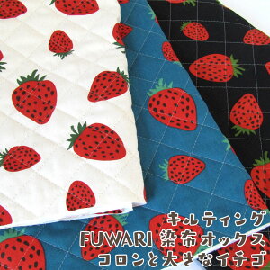 LeBO FUWARIzIbNXRƑ傫ȃC`S(P50cm)k//Xgx[/t[c/ʎ//JCC/̎q/w/ʉʊw/XN[ObY/n//Rbg/Lg