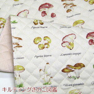 きのこ 生地の人気商品 通販 価格比較 価格 Com