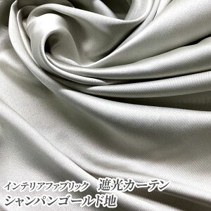 CeAt@ubN ՌJ[eVpS[hniP50cmj|GXe/n/J[e/n