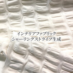 CeAt@ubN V[OXgCviP50cmji`/n/J[e/Jo[O