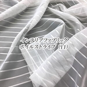 y6.5mzCeAt@ubN@{CXgCvij@300cm×6.5m|GXe/n/J[e//Vv