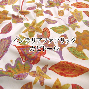 CeAt@ubN Jsg[iP50cmj/Rbg/n/vg/J[e/CeA/Jo[O/ZR