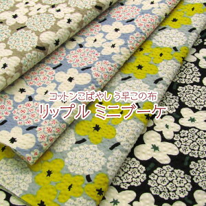 Rbg΂₵@̕z@bv ~ju[P(P50cm)t/TbJ[///n/z//Rbg/vg//͂/ni/t[/k
