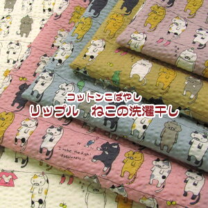 Rbg΂₵ bv@˂̐󊱂(P50cm)t/TbJ[///n/z//Rbg/vg/lR/L/Lbg/CAT/ɂ//񂽂