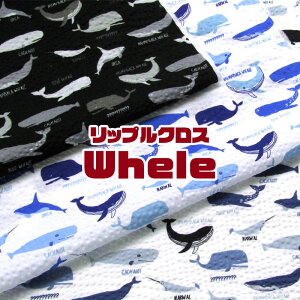 bvNX Whele(P50cm)t/TbJ[///n/z//Rbg/vg/NW/~/zG[/C̐/Sea//T}[/summer