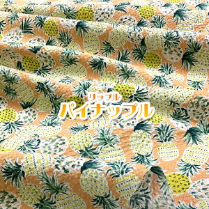 bv pCibv(P50cm)t/TbJ[///n/z//Rbg/vg/pC/t[c/ʕ//T}[/summer