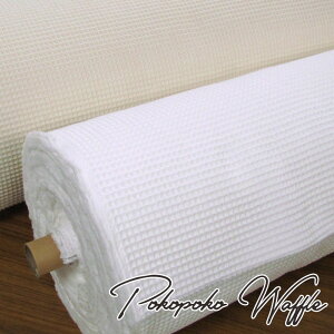 ۂۂbt(P50cm)ӂӂ/n//Rbg/ǂ/LbY/xr[//nhCh/Â/