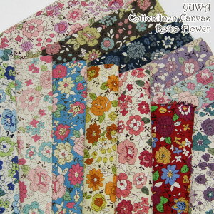 L ȖLoXEgԕ Vj[(P50cm)YUWA/t[/n/Rbgl