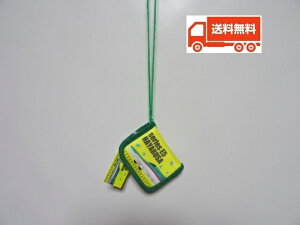 S JR{EC SUPER EXPRESS ǂp Ђt z nuT EHbg w j̎q v[g | z