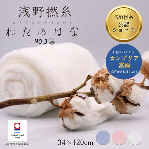@̃^I 킽̂͂ No3 Q oX^I  GA[ Gj[^C ^I 3F 34cm×120cm  Q X[p[[ X[p[zero @̎ z 3SS JuA{