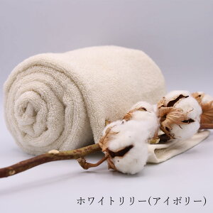 @̃^I 킽̂͂ No5 Q oX^I  GA[ Gj[^C ^I 3F 34cm×120cm Q X[p[[ X[p[zero @̎ z 3SS JuA{a