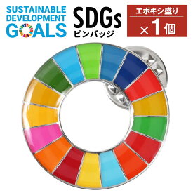 【楽天1位】 SDGs ピンバッジ 1個 国連本部公式最新仕様 25mm 20mm 小さめ SDGsバッジ 丸み サステナブル 17 目標 バッチ バッヂ sdgs