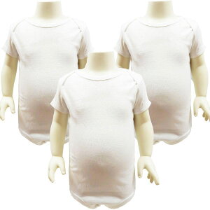  J[^[Y xr[ {fBX[c xr[ V 3Zbg 24 83`86cm