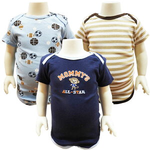  J[^[Y xr[ {fBX[c xr[ V 3Zbg 6/12 65`80cm