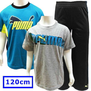  PUMA v[} q LbY W[W ㉺ ZbgAbv X|[cEGA  TCY6 120cm