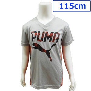 PUMAv[}qTVcg[jOEGAW[Wj̎qp5115cmO[yAJtizySP10z