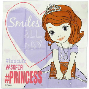  { `[t `NX ٓnJ` fBYj[ vZX \tBA 43×43cm XP[^[