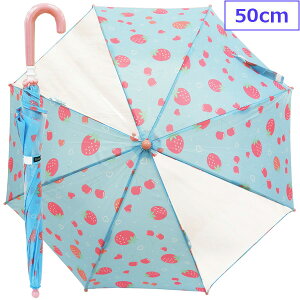 yXܓ P{CR[gZbgw300~z yz KF LbYtH[ qP qpP P S t J 蓮 J ̎q 50cm   u[ B81864