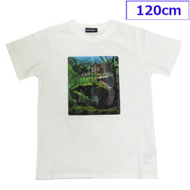 送料無料 LBC 子供服 子供 Tシャツ 半袖 カットソー 恐竜 きょうりゅう 3D ダイナソー 120cm