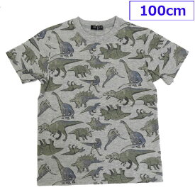 送料無料 日本製 LBC 子供服 子供 Tシャツ 半袖 カットソー 綿 男の子 恐竜 きょうりゅう ダイナソー 丸高衣料 100cm