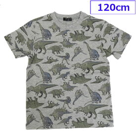 送料無料 日本製 LBC 子供服 子供 Tシャツ 半袖 カットソー 綿 男の子 恐竜 きょうりゅう ダイナソー 丸高衣料 120cm